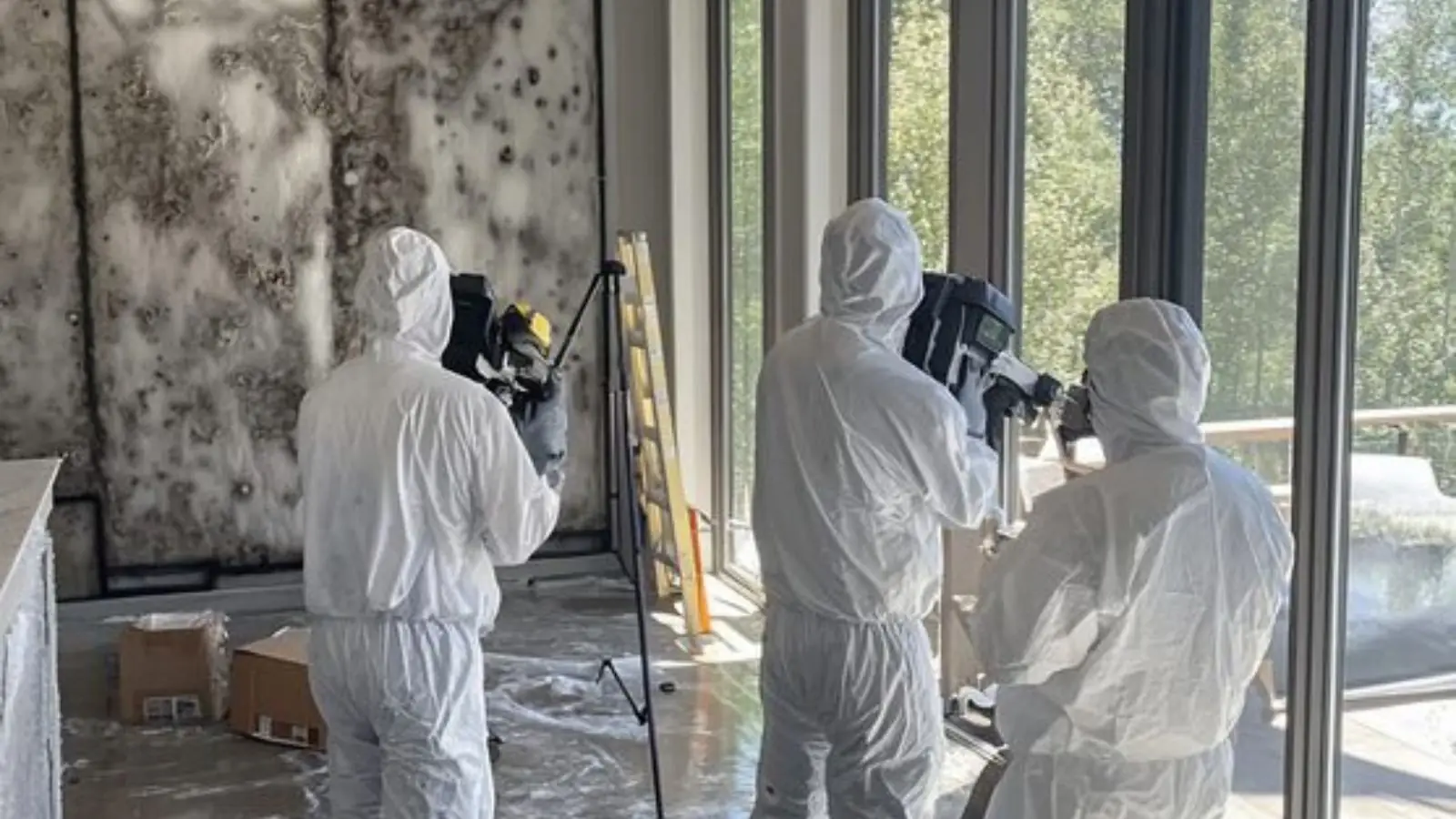 Remediation crew in white suits working in a room with mold-covered walls