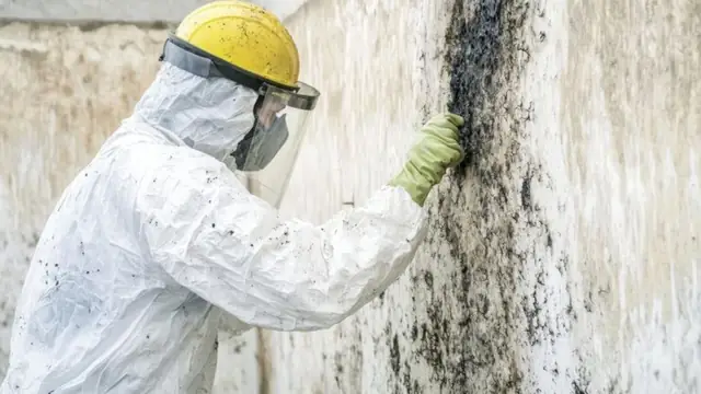 Worker in protective gear and a face shield cleaning dark mold from a wall