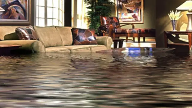Wet wood subfloor with standing water and pooled stains