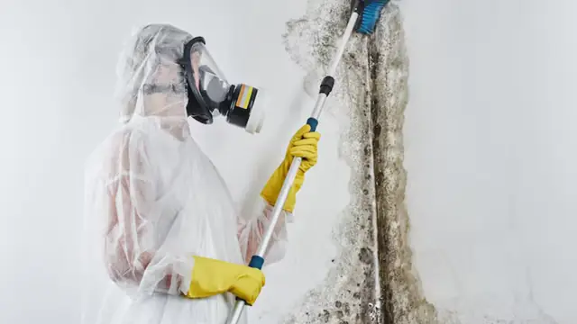 Worker in a protective suit and respirator treating a moldy wall