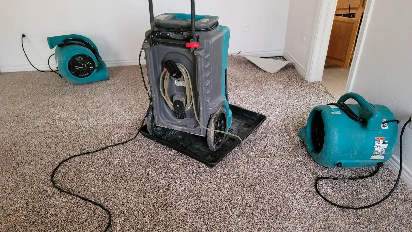 A dehumidifier and two air movers drying a carpeted room